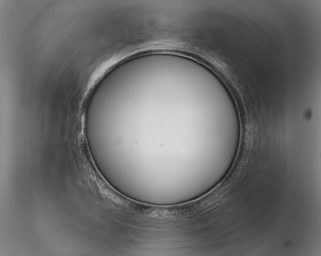 X0000116161366200912141211