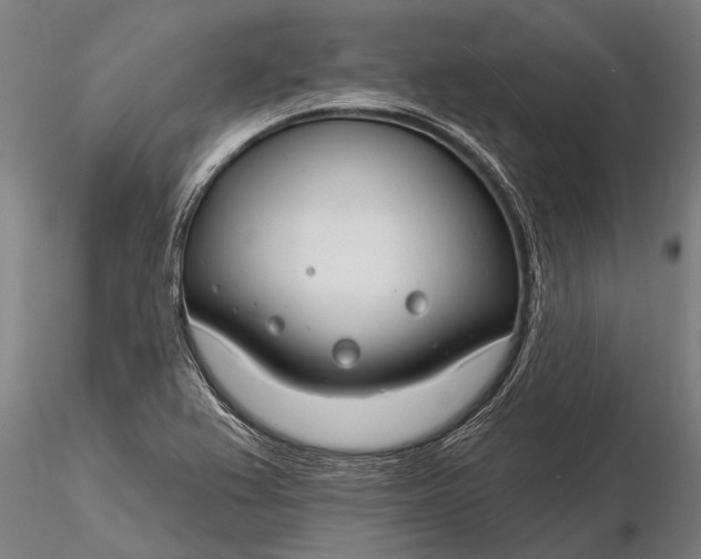 X0000116161367200912141211
