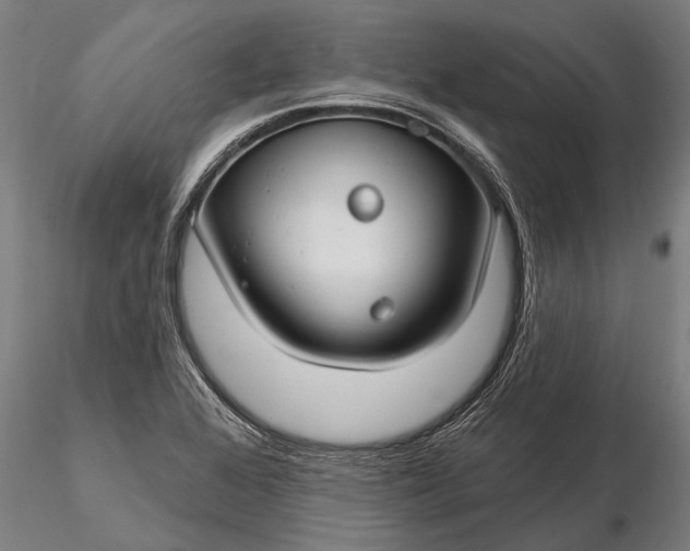 X0000116161368200912141211