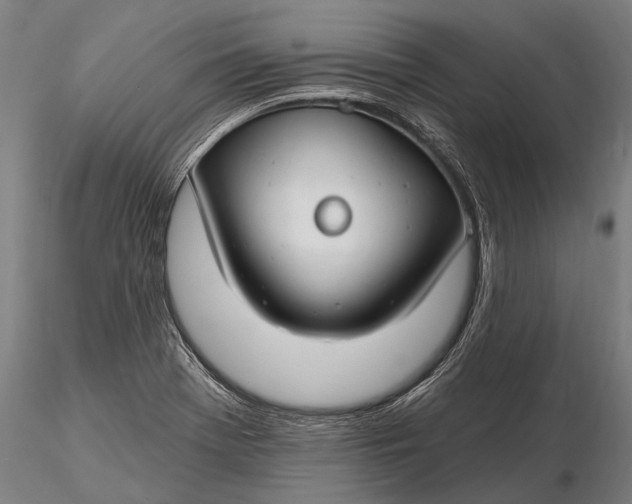X0000116161369200912141211