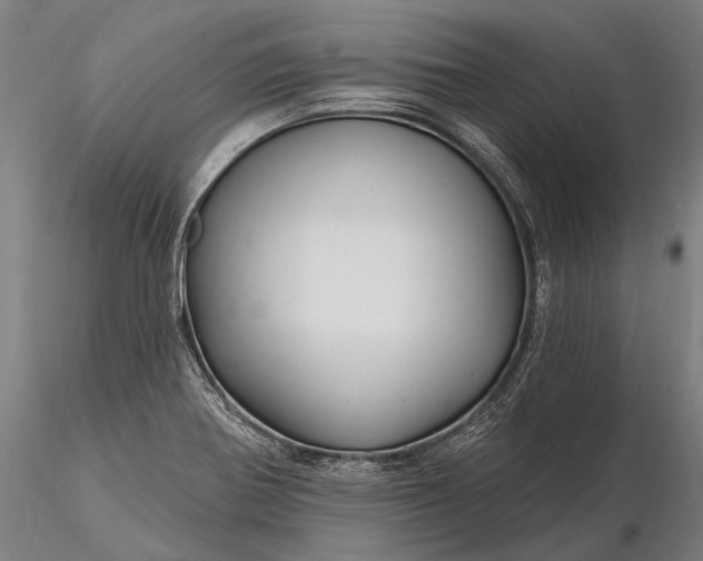 X0000116161370200912141211