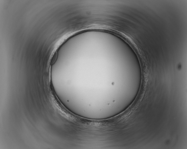 X0000116161371200912141211