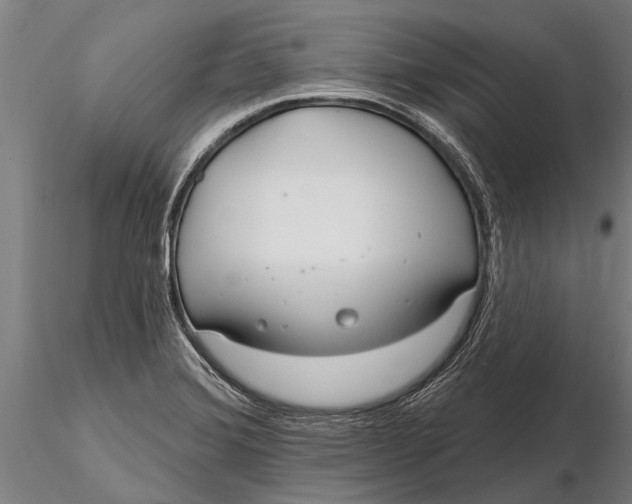 X0000116161372200912141211