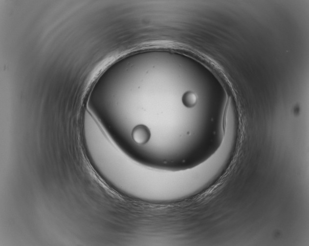 X0000116161373200912141211