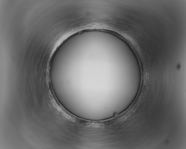 X0000116161374200912141211