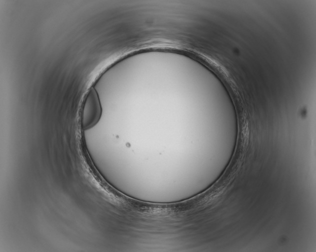 X0000116161375200912141211