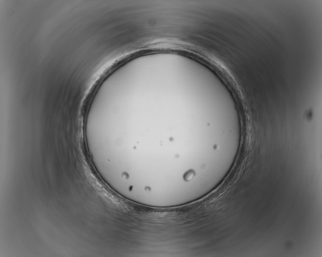 X0000116161376200912141211