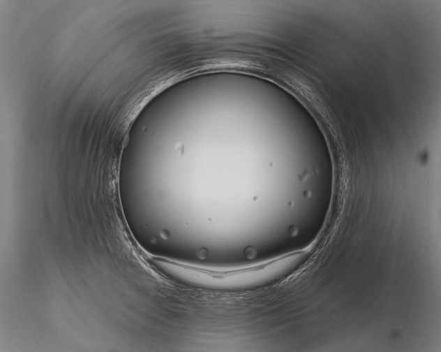 X0000116161377200912141211