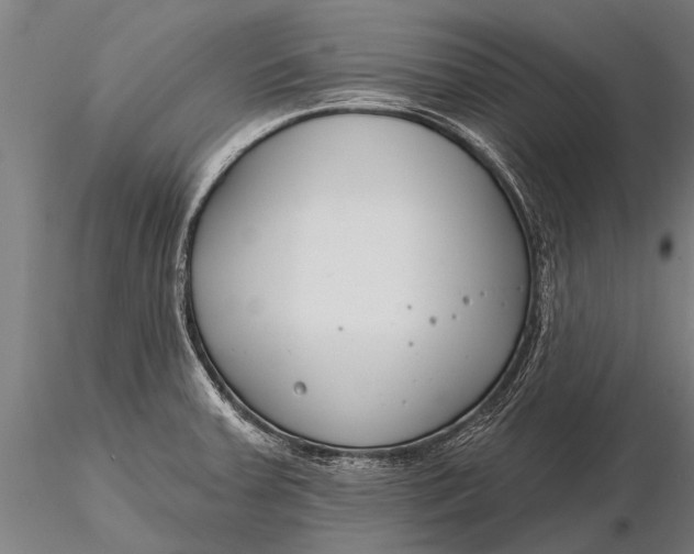 X0000116161379200912141211