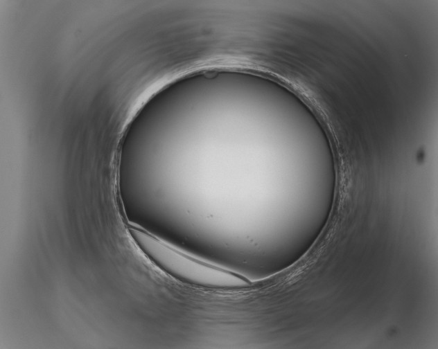 X0000116161382200912141211