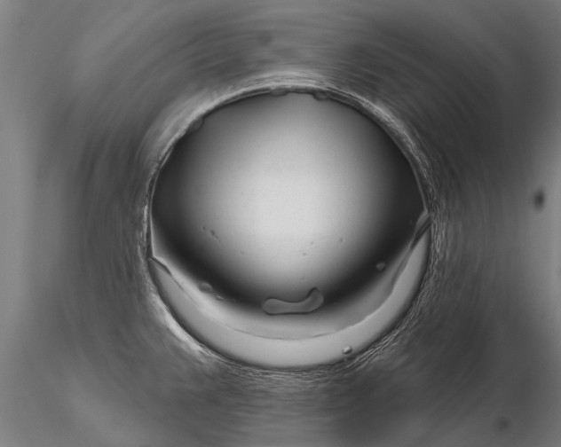 X0000116161383200912141211