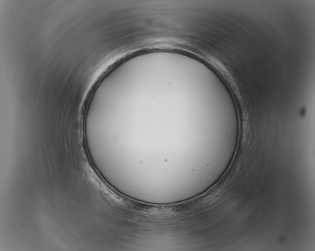 X0000116161384200912141211