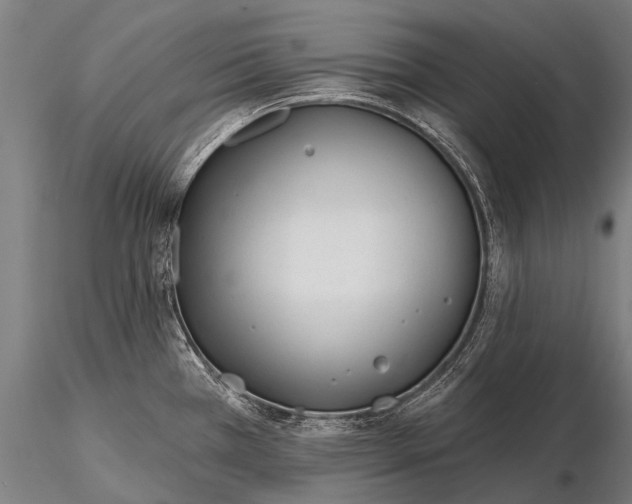 X0000116161385200912141211