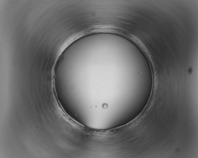 X0000116161386200912141211