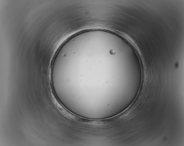 X0000116161388200912141211