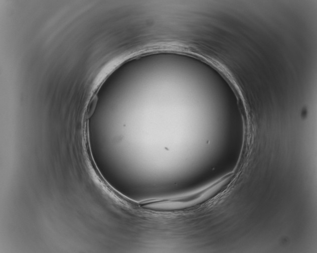 X0000116161389200912141211