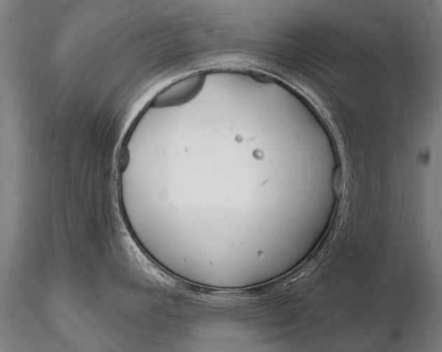 X0000116161392200912141211