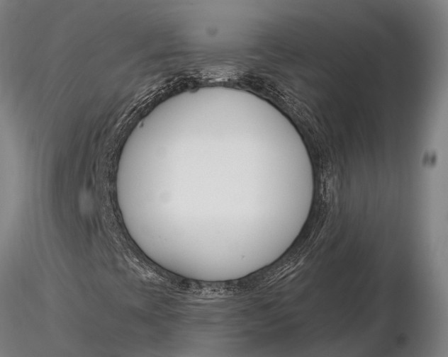 X0000116161393200912141210