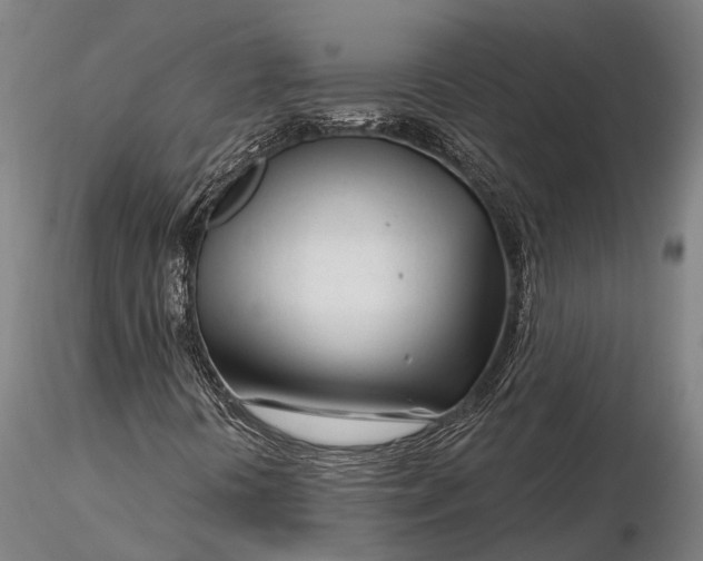 X0000116161394200912141210