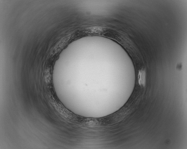 X0000116161395200912141210