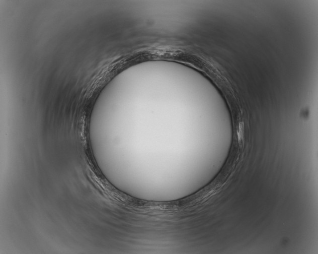 X0000116161396200912141210