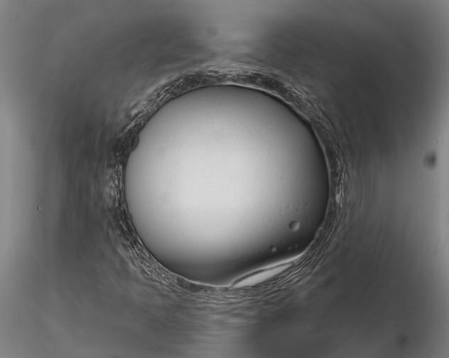 X0000116161397200912141210