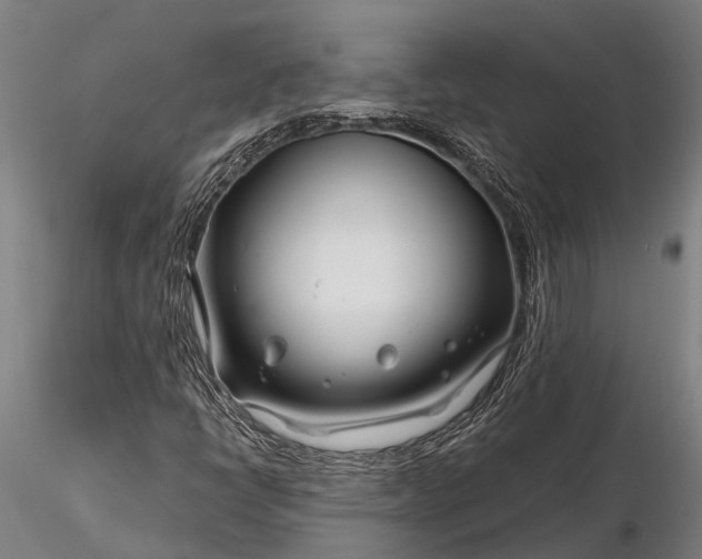 X0000116161398200912141210