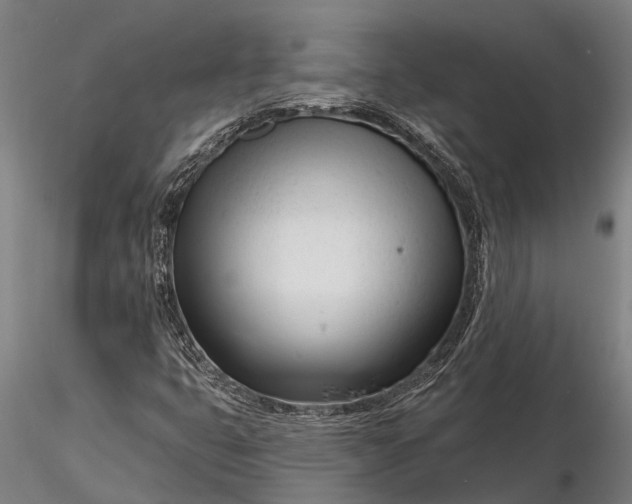 X0000116161399200912141210