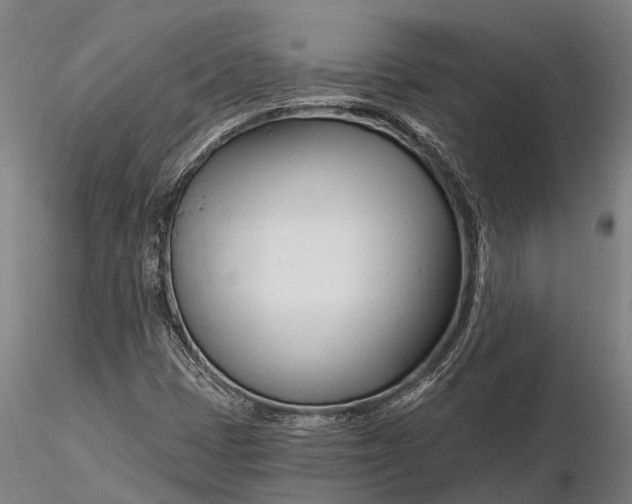 X0000116161401200912141210