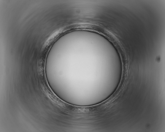 X0000116161403200912141210