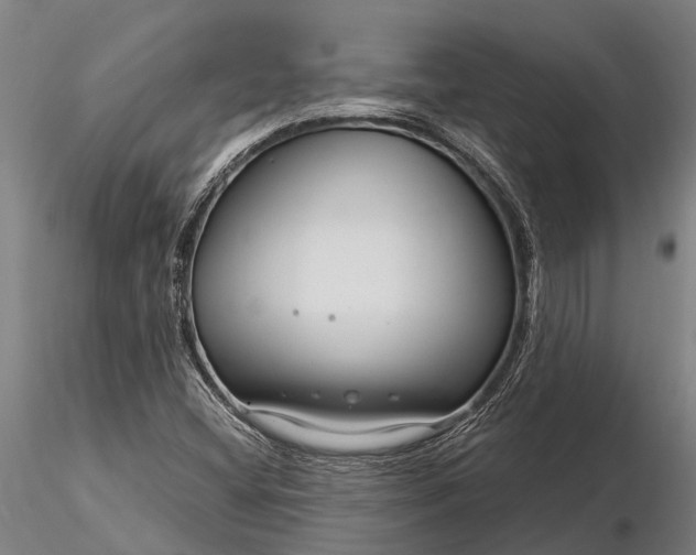 X0000116161404200912141210