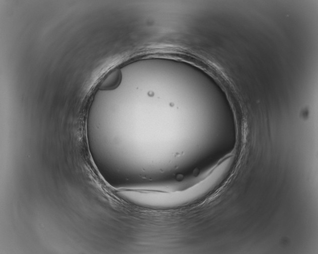 X0000116161405200912141210