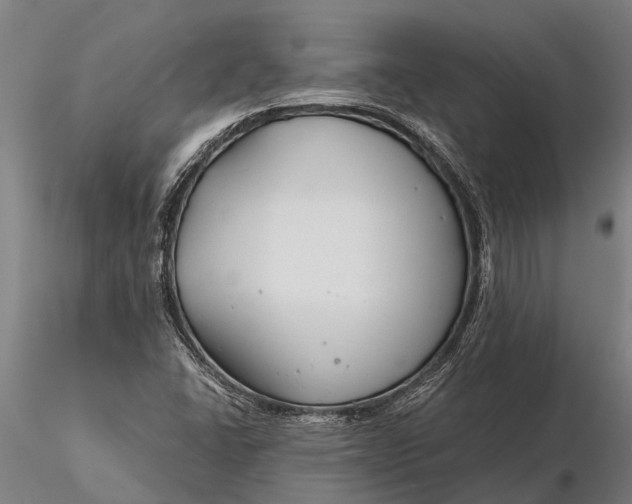 X0000116161406200912141210