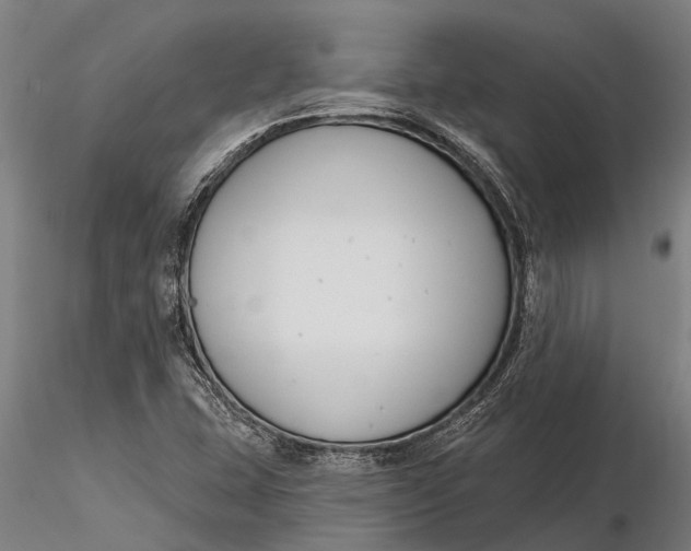 X0000116161407200912141210