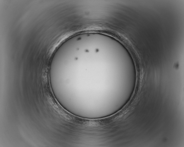 X0000116161409200912141210