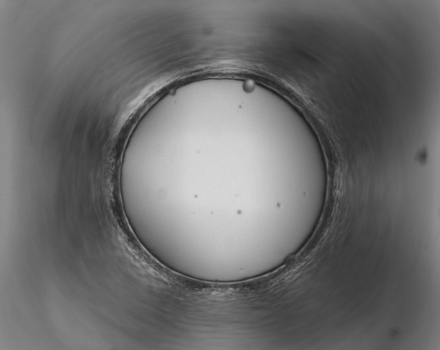 X0000116161410200912141210
