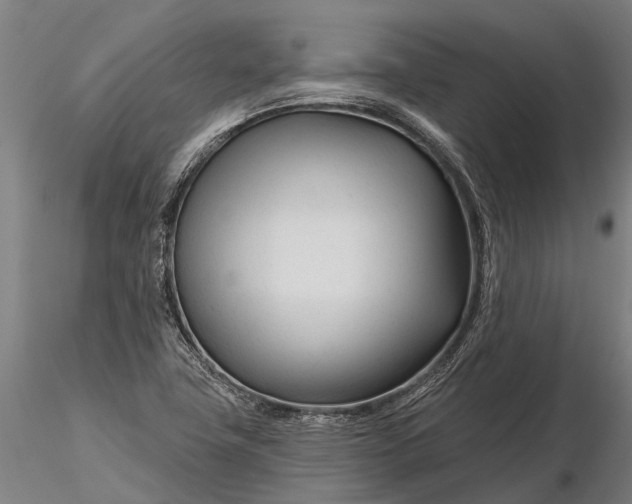 X0000116161411200912141210