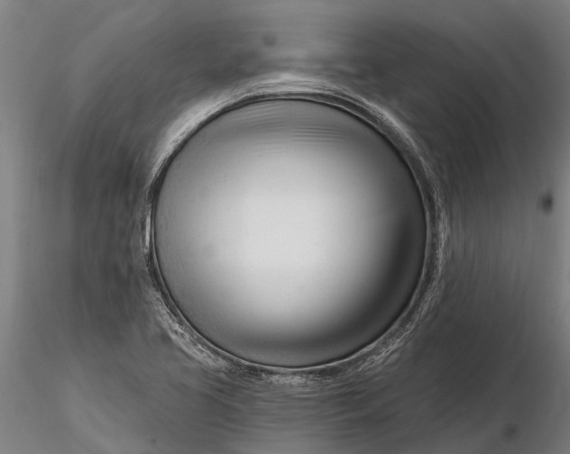 X0000116161413200912141210