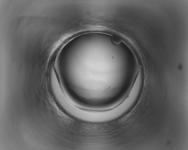 X0000116161414200912141210