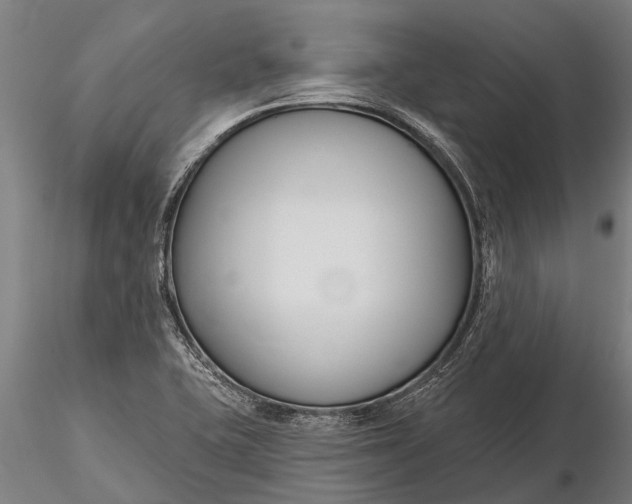 X0000116161415200912141210