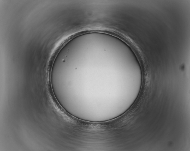 X0000116161416200912141210