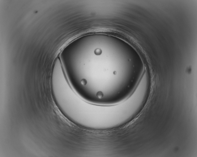 X0000116161417200912141210
