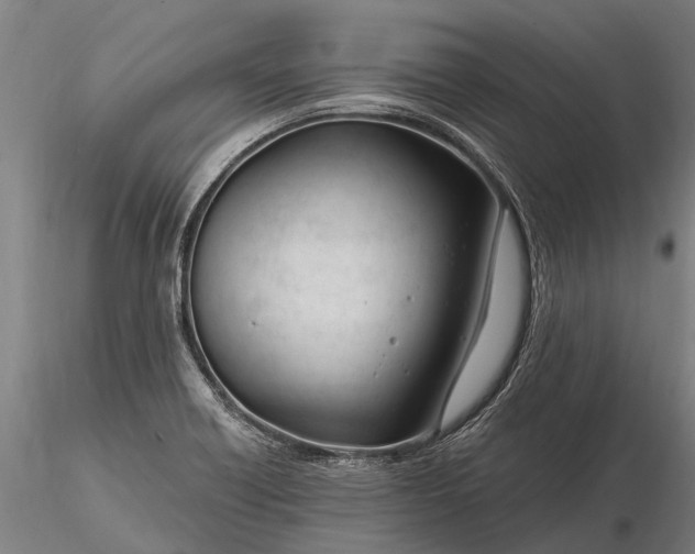 X0000116161418200912141210