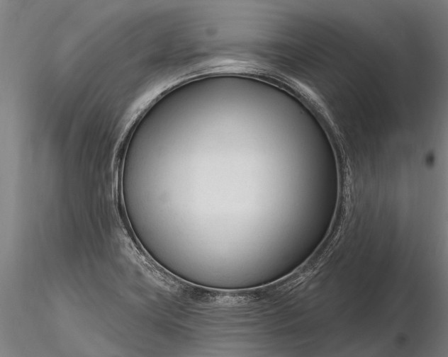 X0000116161419200912141210
