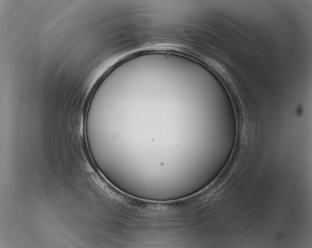 X0000116161420200912141210