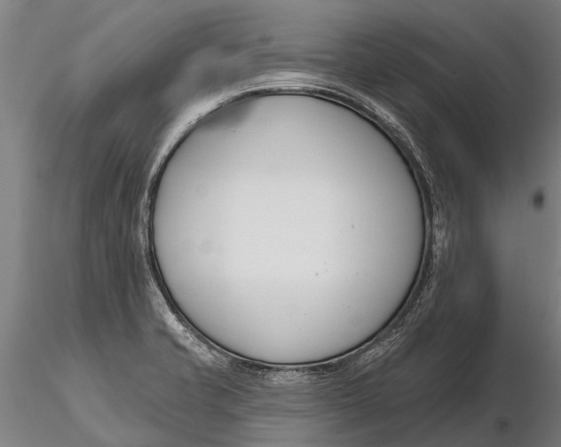 X0000116161421200912141210