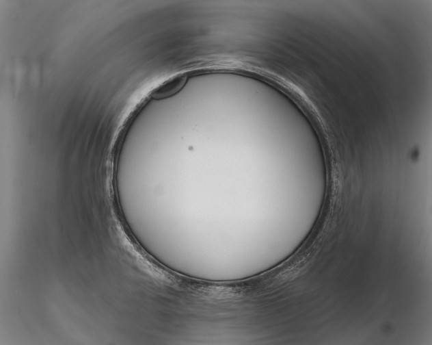 X0000116161424200912141210