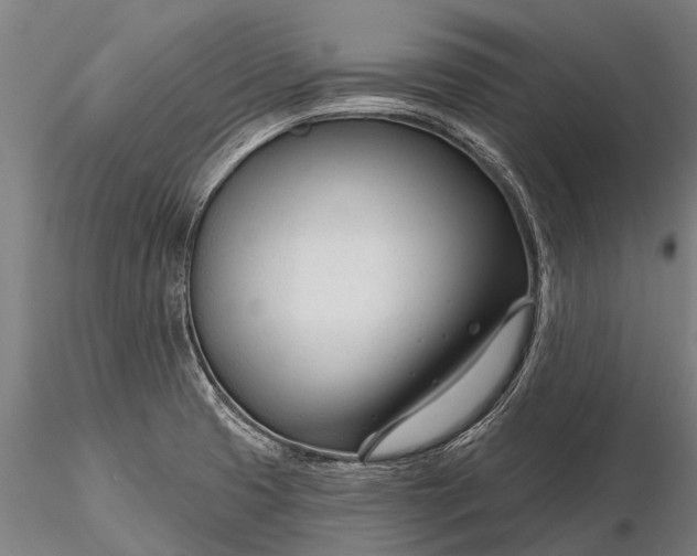 X0000116161425200912141210