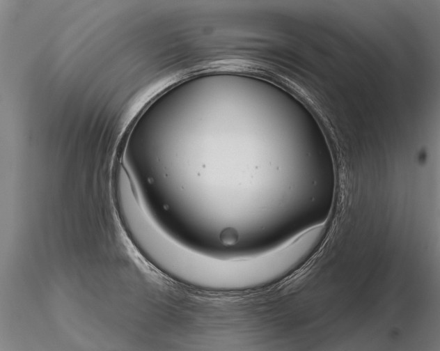 X0000116161426200912141210