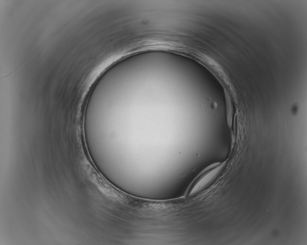 X0000116161427200912141210